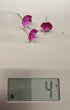 Pure Silver Enamel Pink Flowers 4g (Pack of 3)